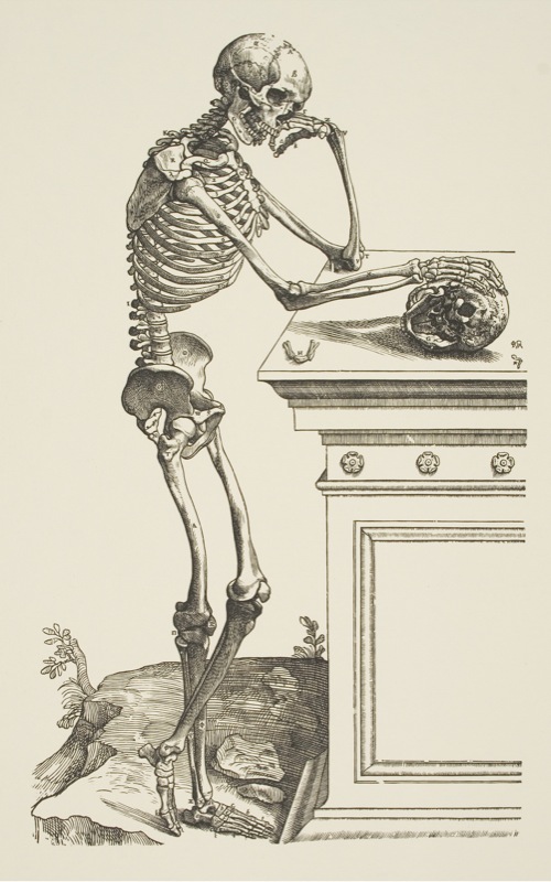 Skeleton Contemplating a Skull