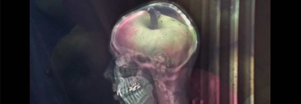 Photography on glass, oac base : x-ray photograph in front of an apple • 9x16cm • GALLERY PHOTOGRAPHY